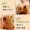 Capybara Plush Toy, Sewn Wrap, Body Pillow, Animal Toy (23cm) [Used]