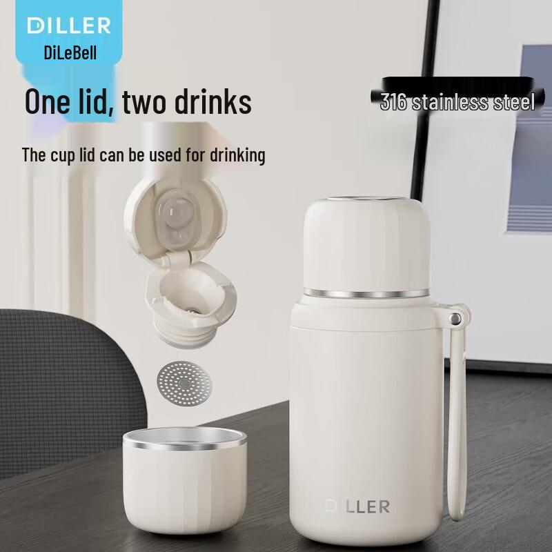 Diller Stainless Steel Portable Tea Infuser Insulated Water Bottle