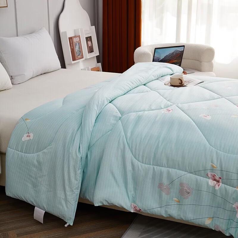 Bijiaman Warm Washed Cotton Anti-Mite Quilt