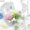 [JZOON] Hair Ornament, Tsumami Zaiku (traditional Japanese fabric flower making), 7 Colors, Dried Flowers, Artificial Flowers, Mizuhiki (decorative