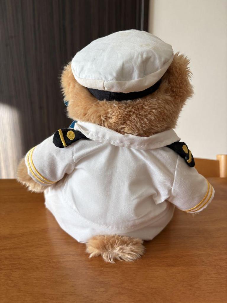 [USED] Princess Cruises Cruise Ship Exclusive Teddy Bear Plush Toy