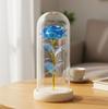 Gold foil rose immortal flower glass cover Valentine's Day gift Christmas Mother's Day creative LED night light