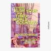 Is There Rush Hour In A Third World Country by Rogelio Braga Paperback Book 9781739954741