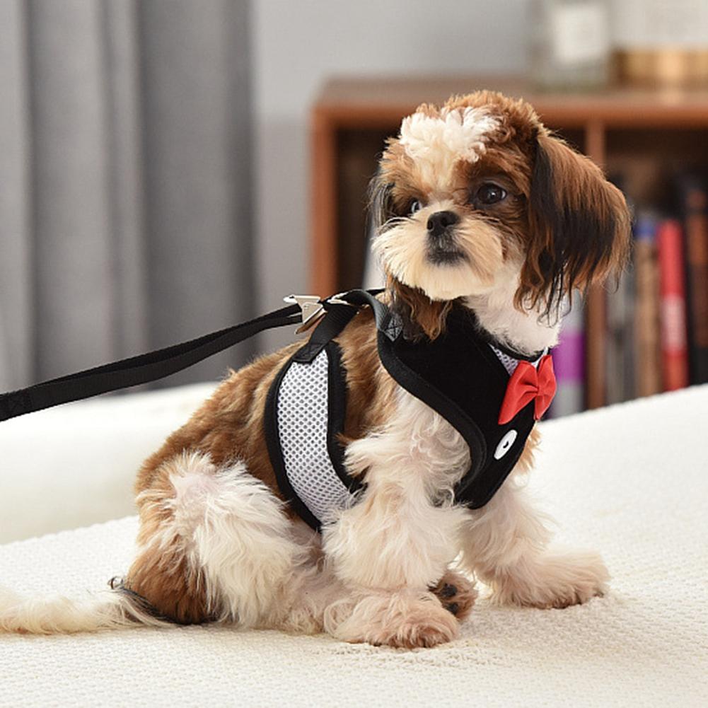 Haustier Polyester Abendkleid Brustgurte Geschirr mit Zugleine für Hund KatzeL