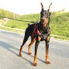 Reflective Dog Chest Strap Adjustable No-Pull Chest Strap Dogs Accessories  Outdoor Use