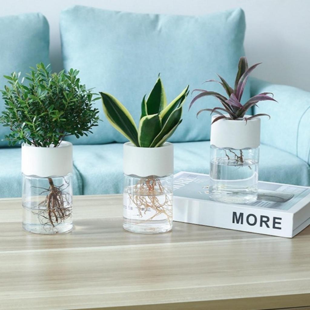 Hydroponic Nursery Pots Kit Seedling Plastic Plant Pot Gardening Accessories Garden Pots/pot Clear Plants Seeds Orchids System