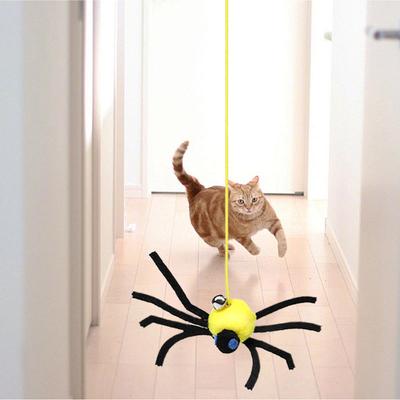 Katzenklappe Spielzeug Aufhängbar Elastische Schnur Spinnen-Spiel Interaktive Spielzeuge für Katzen Für Welpen Kätzchen Kleine Mittlere Große Rasse Haustier