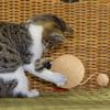Cat Scratching Ball Multipurpose Cat Toy Sisal Ball Rabbit Scratch Toy Funny Cat Scratching Board Sisal Scratcher Ball For Cats