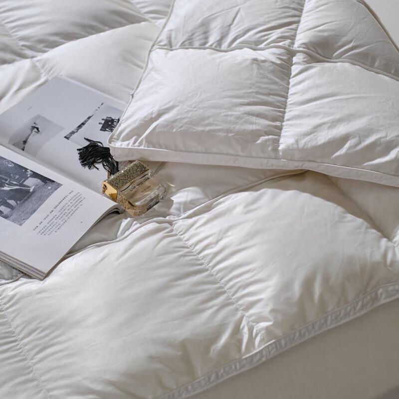 Muji Stain-Resistant Removable Goose Down Quilt