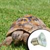 Reptilien Tier Heizlampe Wachstum Vollspektrum Sonnenlampe Temperaturregelung Universal Warmlicht Zubehör