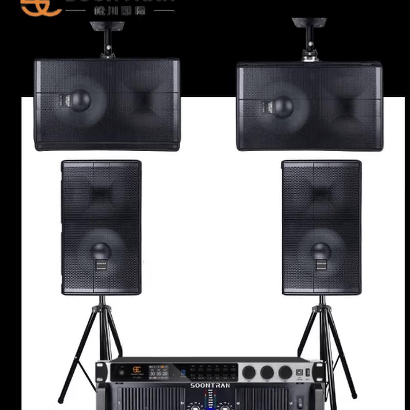 Songchuan SP151 Home KTV Professional Audio System (CN version)