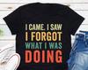 I Came I Saw I Forgot What I Was Doing T-and Kids Tshirt, Sarcasm and Kids Tshirt, Funny Saying and Kids Tshirt, Gift Idea