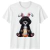 Üst giysisi – T-shirtler