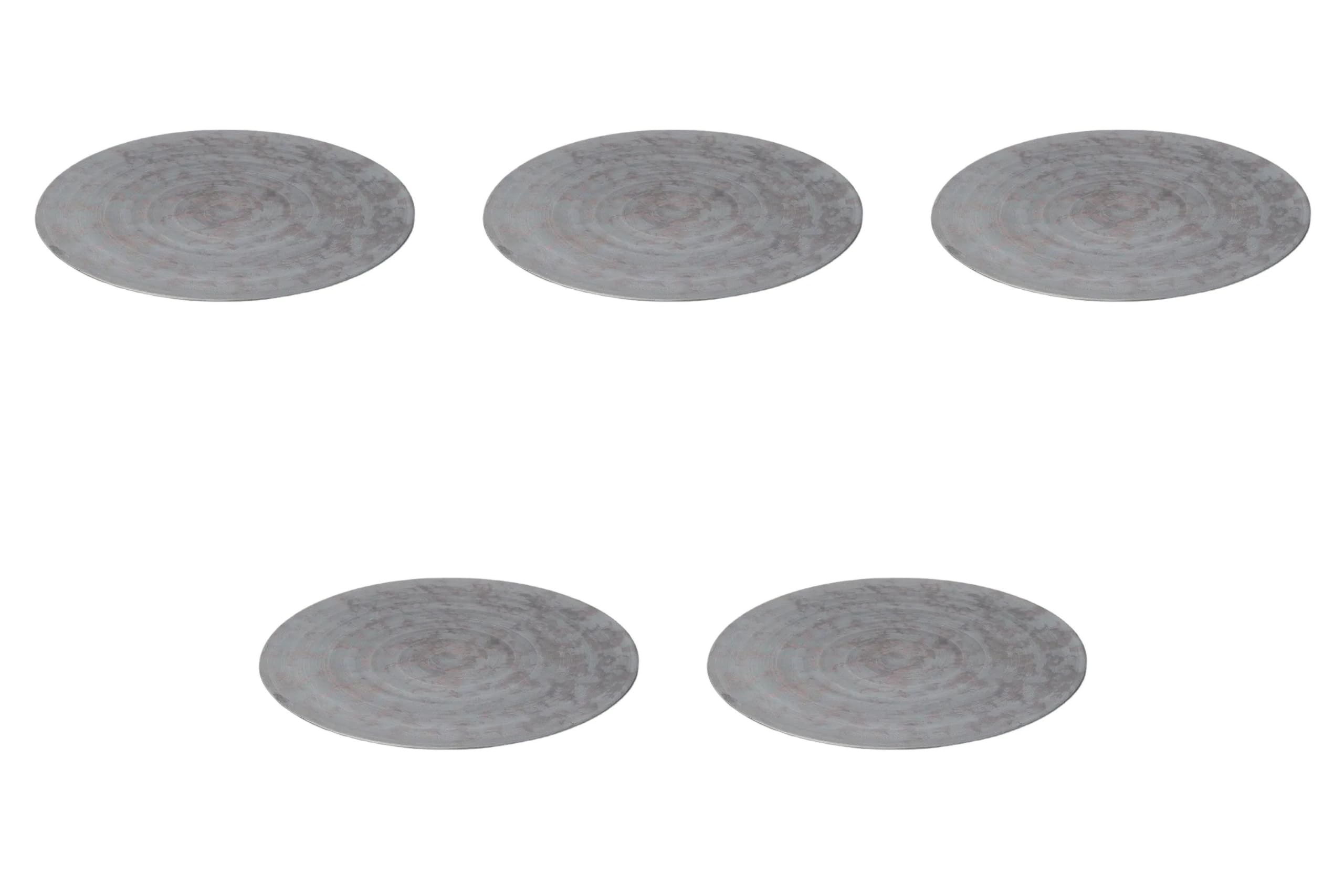 

Набор из 5 Дымчато-серебристых круглых тарелок 24 см x Набор круглых тарелок Setomonohonpo [24,4 1,3 см] (большой)