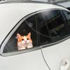 Cat Car Window Decals Funny 3D Waterproof Decals,Orange Cat Stickers,PVC Realistic Automotive Sticker, for Refrigerator,Toilet, Wall.Bathroom,1pcs