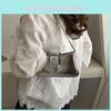 Chic Summer 2024 Small Square Bag Trendy Street Style Shoulder Crossbody Bag