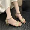 Fashion Versatile Outdoor Women's Sandals Shoes for Women 2025 New Summer Buckle Strap Peep Toe Low-heel Dress Sandals Women