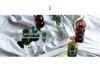 Weixun Korean Bubble Glass Vase - Spherical Hydroponic Flower Decoration Prop