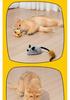 Remote Control Tail-Wagging Electric Pet Toy: Self-Entertainment Decompression Gadget for Cats and Dogs.