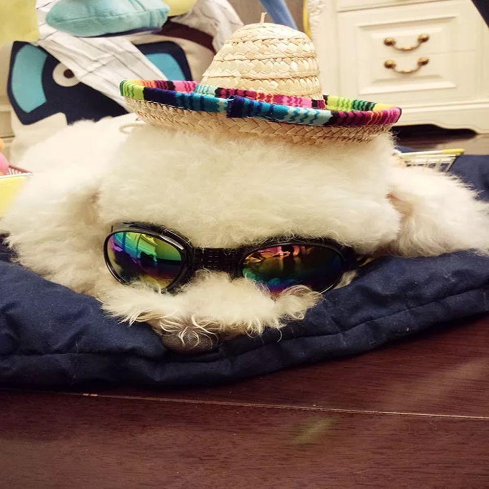 Adjustable Cat Dog Supplies Sombrero Mexican Straw Cap Pet Ornaments Pet Straw Hat