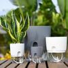 Self Watering Flowerpot Automatic Self-watering Flowerpot with Drainage Holes Transparent Base Hydroponic Planter Flowerpot