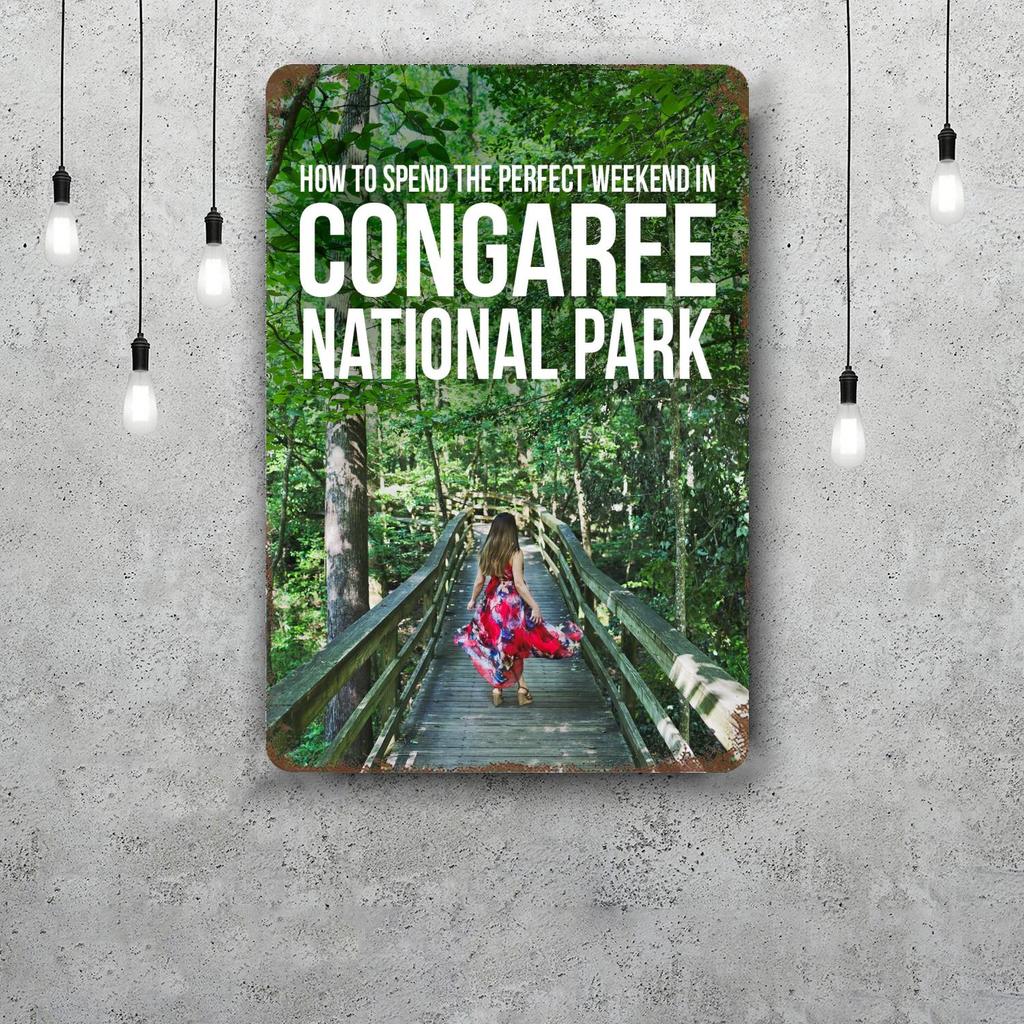 Congaree Nationalpark Deko-Poster Vintage Blechschild Metallschild Dekorative Plakette für Pub Bar Männerhöhle Club Wanddekoration