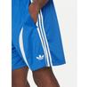 Шорты adidas adicolor Teamgeist