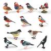Mandarin Duck Bird Model Pvc Realistic Parrot Desktop Decor For Kids And Collectors