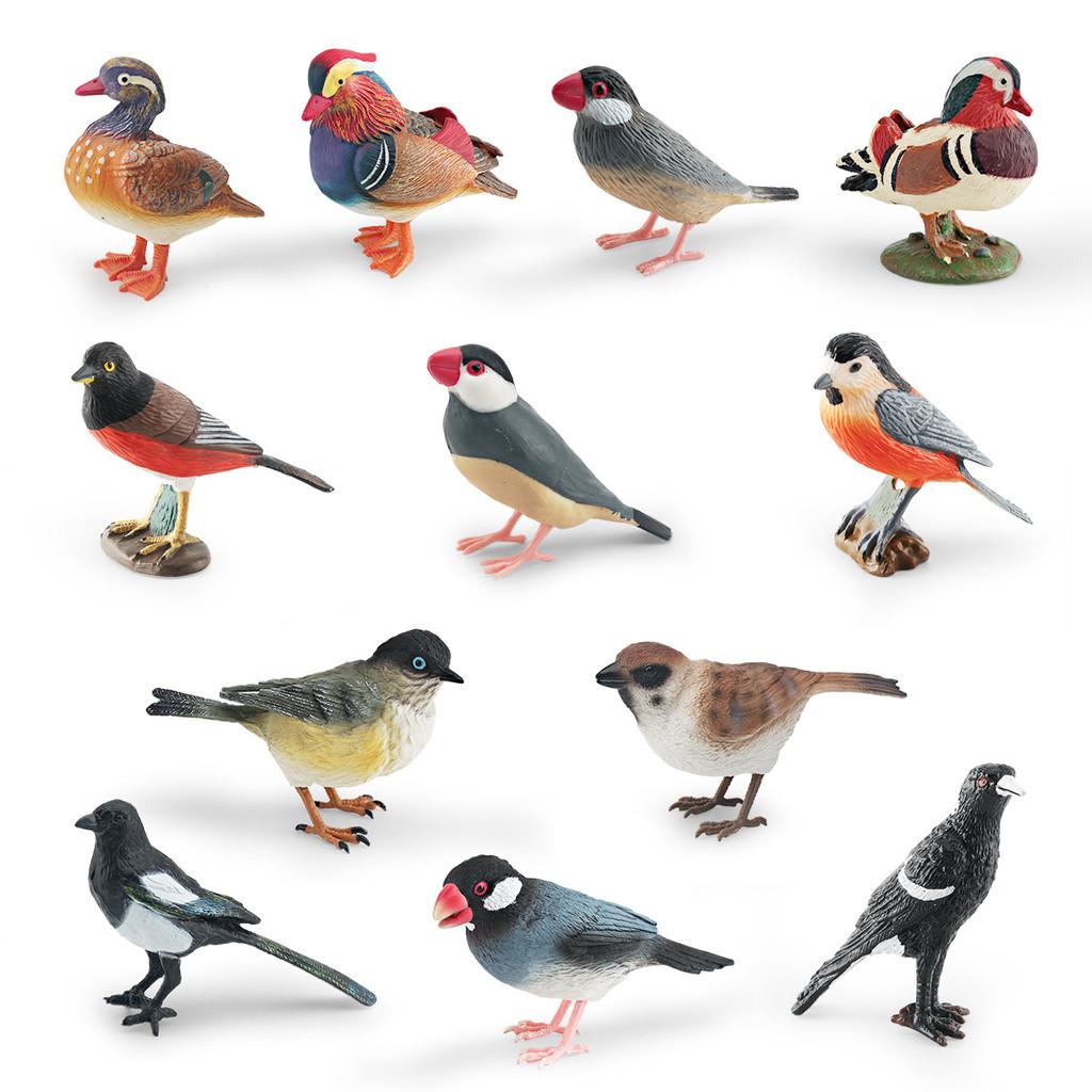 Mandarin Duck Bird Model Pvc Realistic Parrot Desktop Decor For Kids And Collectors