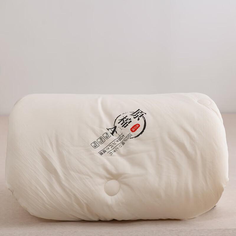 Bijiaman Four Seasons Comforter