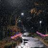 Solar Garden Lights Solar Powered Stake Lights Adorned with 18 Butterflies and Copper Cord for Pathway Lawn Outdoor