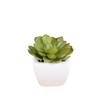 Simulation Plant Decoration Potted Plant Nordic Green Plant High Imitation Ornament Home Living Room Fake Flower Succulent Decoration