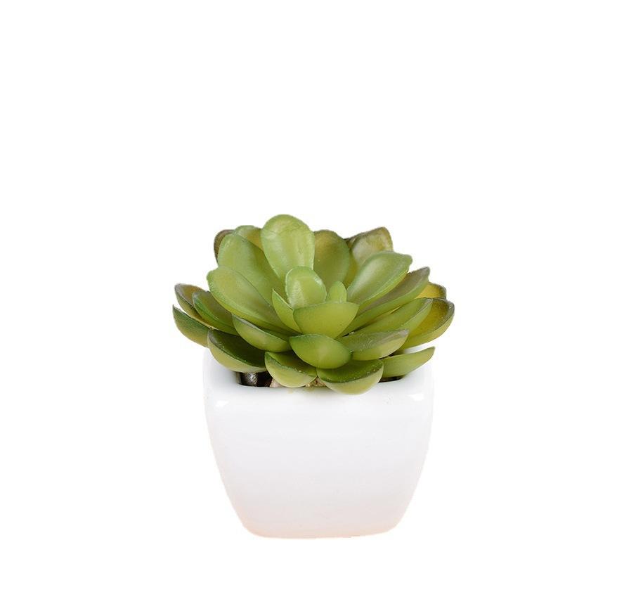 Simulation Plant Decoration Potted Plant Nordic Green Plant High Imitation Ornament Home Living Room Fake Flower Succulent Decoration