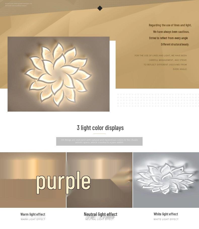 Modern Minimalist Dimmable LED Ceiling Light for Living Room, Bedroom, or Hall