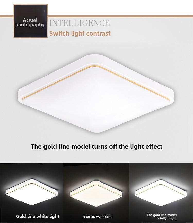 Modern Minimalist Led Ceiling Light For Living Room And Bedroom With Adjustable Color 220v