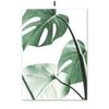Tropical Plant Leaves Wall Art Canvas Paintings Rabbit Tails Grass and Flowers Posters and Prints Scandinavian Room Decoration