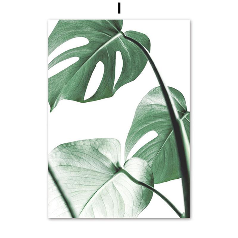 Tropical Plant Leaves Wall Art Canvas Paintings Rabbit Tails Grass and Flowers Posters and Prints Scandinavian Room Decoration