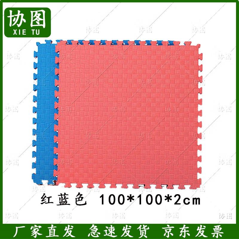 Xietu Martial Arts & Combat Sports Training Mat