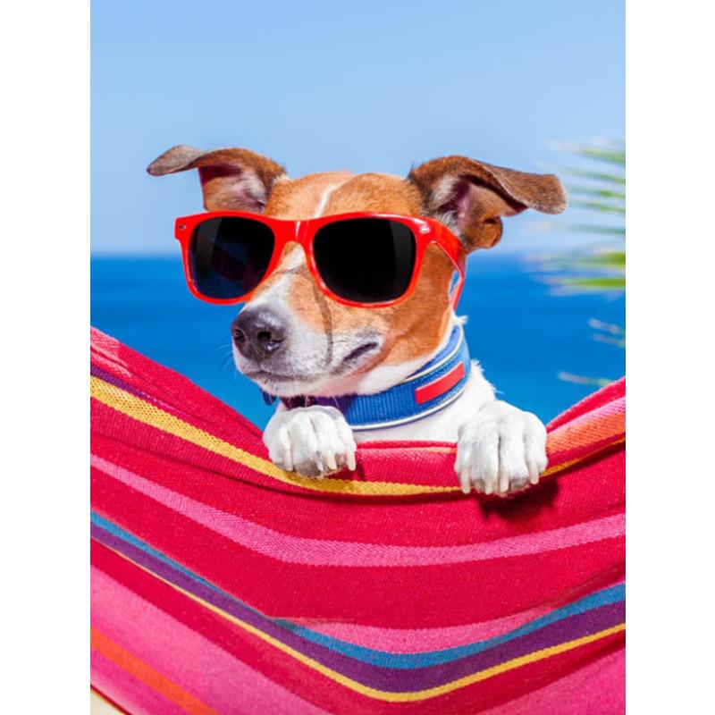 5D-Diamantmalerei zum Selbermachen, fröhlicher cooler Strandhund, Diamantstickerei, Kreuzstich-Set, voller Strass, Mosaik, Heimdekoration