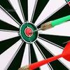 Dartscheibe aus Borsten, Dartscheibe mit Stahlspitze, Starter-Set mit Dart-Party-Spielzeug für Kinder und Erwachsene