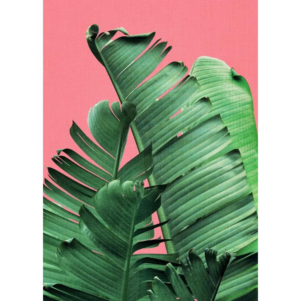 Tropical Plants Poster and Print Toucan Bird Flamingo Parrot Pineapple Canvas Painting Nordic Wall Art Picture Home Decor Cuadro