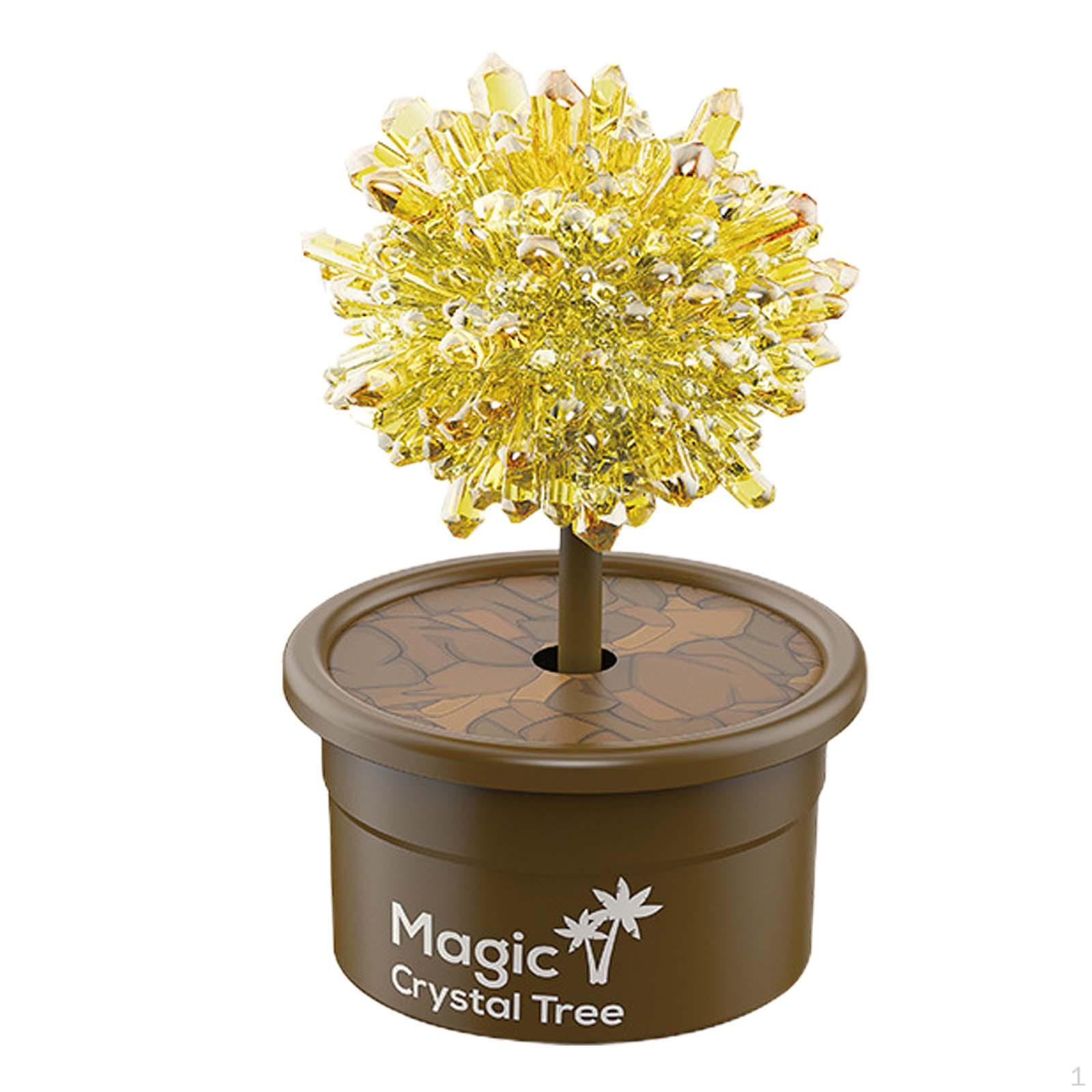 

Crystal Growing Kits for Kids, Science Experiments Toy, Teenagers жовтий