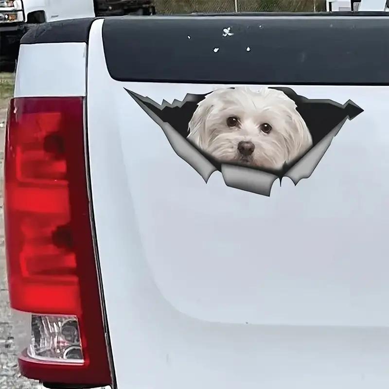Autoaufkleber personalisierter Hund 3D dreidimensionaler Aufkleber Karosserieschrammen Abdeckung Cartoon Autoaufkleber Stoßstangen hinten Kratzer Aufkleber