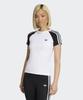 Adidas Superstar T-Shirt - White:Black / Kd3799