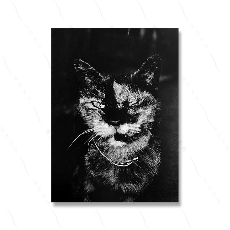

Черный, белый цвет, модная фотография в стиле ретро, ​​современный фильм, постер с принтом, винтажная забавная обложка с изображением животных, холст, картина для комнаты, домашний деко 21x30cm No Framed