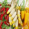 Simulated Vegetable Skewers Garland with Red Peppers, Garlic, and Peanuts for Farmhouse Decoration