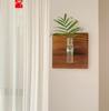 Creative Transparent Glass Micro-Landscape Hydroponic Vase for Home Use