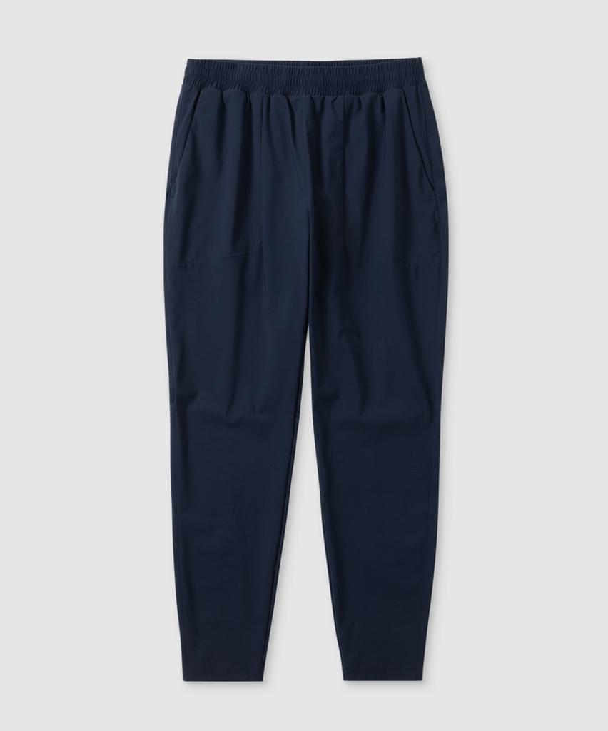 MUSINSA STANDARD SPORTS [Cooltandard] Flex Jogging Pants (2 Colors)