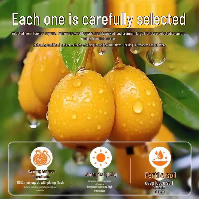 Qiaoweiwei Dried Seedless Loquat Fruit