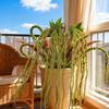 2 Pack Green Amaranth Artificial Flowers, 49.21 Inch Artificial Succulents Plants Fake Hanging Plants for Centerpieces Wedding Decor
